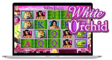 white orchid slots online free